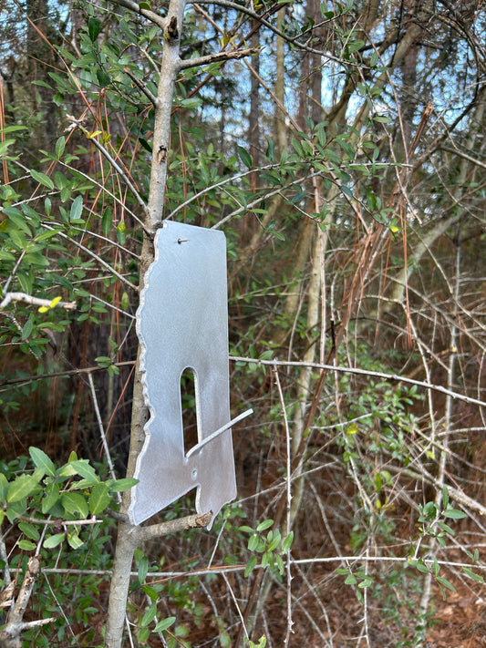 State-Shaped European Skull Mount